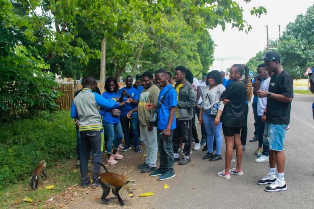 Projects & Initiatives